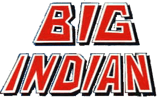 Logo Big Indian